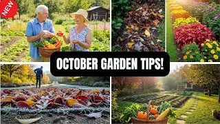 OCTOBER Gardening Tips: Protect Your Fall Garden from Pests Before Spring!
