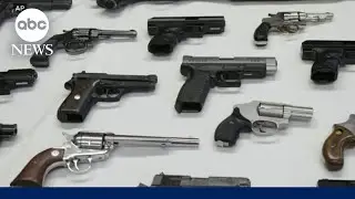 Portrayal of Alex Pretti by some Trump officials sparks 2nd Amendment backlash