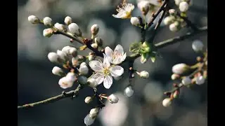 Ostern 2021