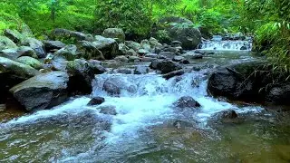 Calm Water Ambience for Relaxation
