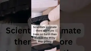 Science Fact #shorts #tranding #shortvideo