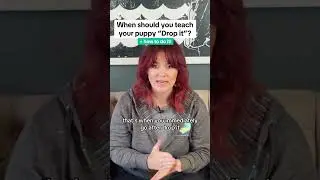 When should you teach your puppy 