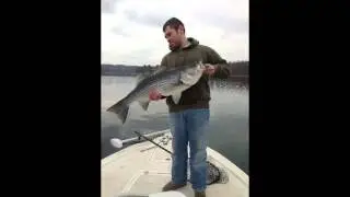 Topwater Action For Big Striped Bass on Smith Lake, Alabama
