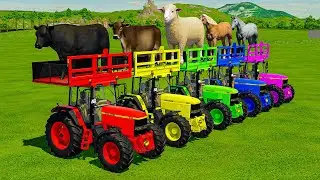 TRANSPORTING COWS, SHEEPS, HORSES, BULLS, GOATS & TRACTORS WITH MAN TRUCKS - Farming Simulator 22