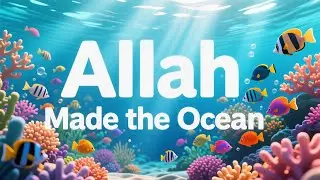 Allah Made the Ocean 🌊  | Islamic Song for Kids
