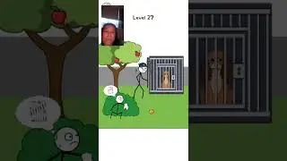 LIVE GAME STREAM / THIEF PUZZLE