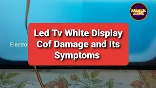 Led Tv 24