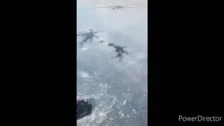 First ice. 2020