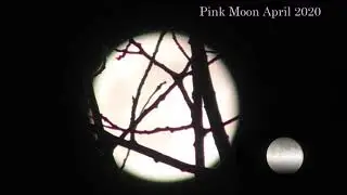 Pink Moon April 8 2020
