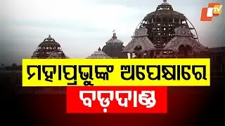 Servitors carve final ornate details on three sacred chariots ahead of Puri Rath Yatra
