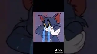 Tom and jerry goodbye 😭😭😭