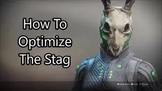 Destiny 2 - How To Optimize The Stag - The 50/50 Exotic