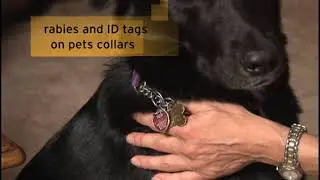 Pet Preparedness-Hurricane Health