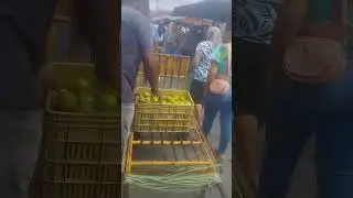 Feira boa assim só aqui em Camocim 