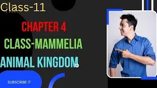 Class-Mammelia||chapter 4||ANIMAL KINGDOM//NCERT||CBSE//RBSE//@funwithfuneria5786