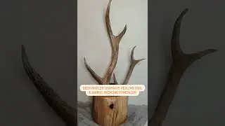 DEER & DEER ANTLER SHAMANIC ANIMAL MEDICINE HEALING TOOL AND SYMBOLISM