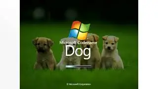 Windows Codename Dog