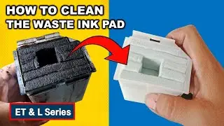 Epson EcoTank Waste Ink Pad Full? How to Clean It Without Replacement!