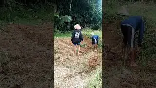 gelem ora gelem kudu di lakoni