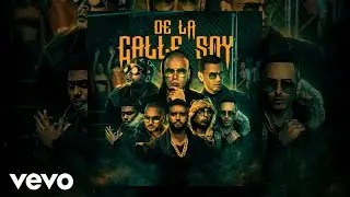 Wisin, Don Omar, Yandel, Ñengo Flow, Myke Towers, Tempo, Tito, Zion - De La Calle Soy (Visualizer)