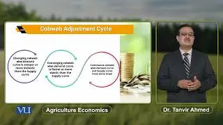 Cobweb Adjustment Cycle | Agricultural Economics | ECO608_Topic112