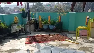 छत की सफाई  के साथ-साथ  मडुवा की धुलाई   भी हुई  आज #vlog #uttrakhnd #minivlog 