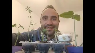Atelier Nature