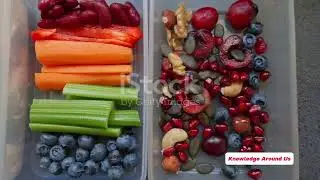 5 pillars of a healthy lifestyle
