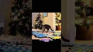 Самодельный крытый бассейн