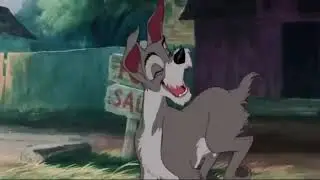 Ever Chase Chickens