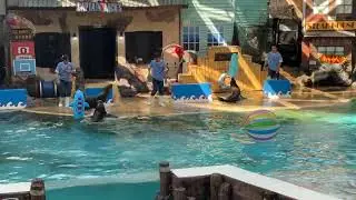มะลิเที่ยว Safari World 24 ม.ค. 69 คลิปที่ 7 #safari #safariworldbangkok #thailand #เด็กน่ารัก 