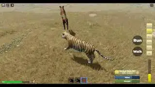 TIGER VS SMILODON ANIMAL WORLD IN ROBLOX