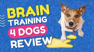 🐾 BRAIN TRAINING FOR DOGS REVIEW 2022 - ADRIENNE FARRICELLI 🐾