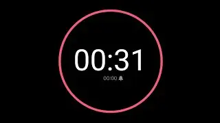 31 Second Countdown Timer / iPhone Timer Style
