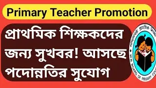 Primary Teacher Promotion: Good news for primary teachers ✅ Promotion opportunities are coming |L...