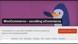 What is WooCommerce? Let Me Show You