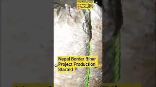 Nepal Border Bihar Project Production Started Congratulations #pilotmushroom ☎️8668460935 #mushroom