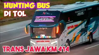 Hunting Bus Di Tol Trans Jawa Sore Hari