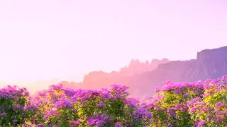 Nisarga V2 | Mega nature library add-on | Blender | R animation studios