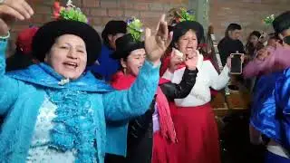 TORIL CLAVELINA DE VILCASHUAM&Aacute;N  EN CHILCAYOCC 2022