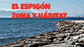 Barracudo- El espigón, zona de pesca y hábitat
