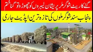 گنا ختم ہونے کے قریب شوگر ملر پریشان آج کا ریٹ | Today sugarcane rate latest update 2025-26