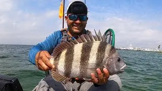 Kayak Fishing Destin Bridge for Sheepshead