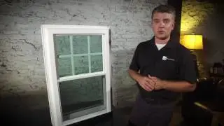 Zen Lotus Window Demonstration Video