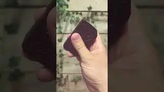 TESLACIGS 220W IS HERE