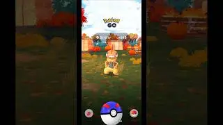 ⚡ PokeGothy поймал редкого дикого скрафти БЫСТРО! (СКОРОСТЬ В 2.0X) | Шорты Pokemon GO