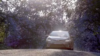 Toyota Corolla 'Love Driving' directed by Hylton Tannenbaum
