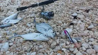 Ultralight Fishing  using SABIKI with POPPER