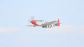 P-51 Mustang WWII Weekend 2023 Sunday