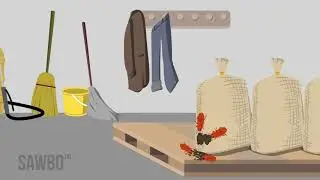 Postharvest Loss Prevention: Dry, Inspect, Clean and Examine (D.I.C.E.) in  Spanish (Dom. Rep.)